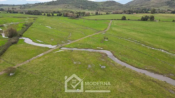 Predio 92 Ha Con Acciones De Agua