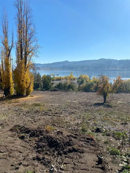 Parcela En Venta En Santa Juana