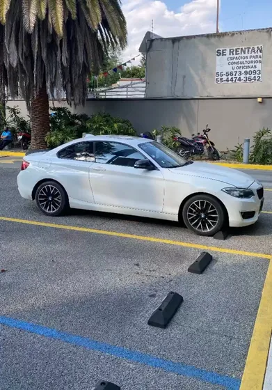 Bmw Serie 2 2.0 220i Coupe