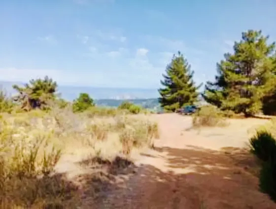 Regular, Cerca Copec De Los Pinos De Reñaca - Viña