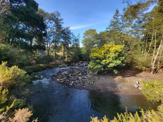 Preciosas Parcelas Con Acceso Común A Rio Y Lago Llanquihue