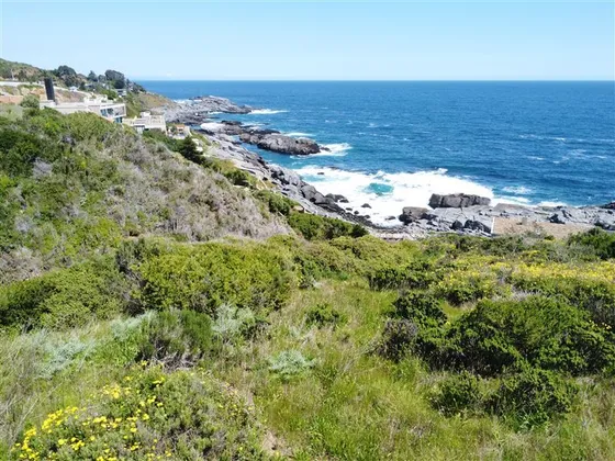 Sitio Con Vista Al Mar En Zapallar Norte