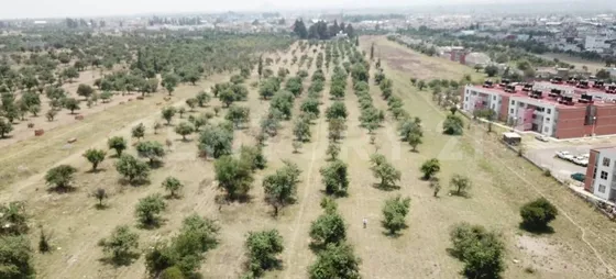 Terreno En Venta - 19,445.82 M2 - Ideal Para Desarrollo Habitacional
