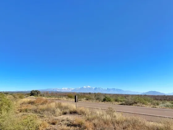 Campo En Venta, Ruta 86, Luján De Cuyo, Mendoza