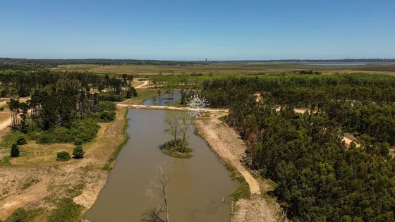 Lotes En Venta En Puerto Quetzal La Barra 