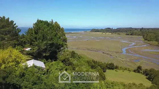 Agrícola En Venta En Maullín