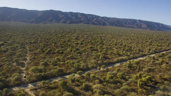Venta De Campos En Chancani Traslasierra Cordoba