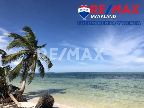 En Venta Terreno Con Frente De Playa En Tulum