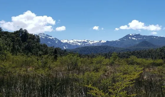 Oportunidad De Inversión En Fundo Las Cascadas De Puyehue