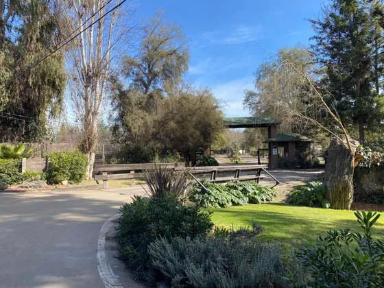 Parcela En Arriendo En Colina