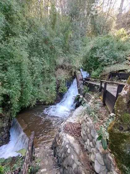 Parcela En Venta En Curarrehue