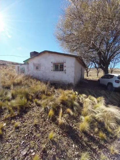 Campo En  Los Gigantes - Cuchilla Nevada