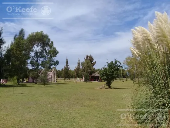 Chacra En Venta Sobre Ruta 2 - Apto Comercial!!!