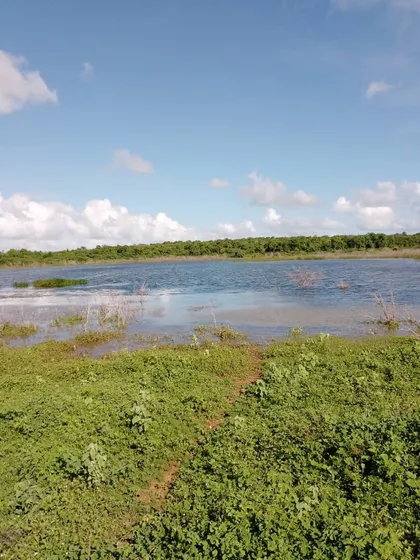 Finca En Falcon, Cerca De Yacaral, Bajó De Precio. Es Tu Oportunidad
