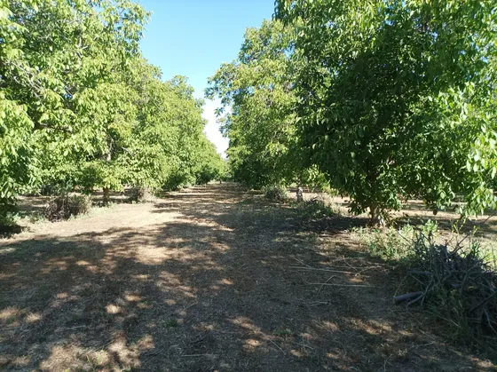 Loteo En San Vicente De Pirque