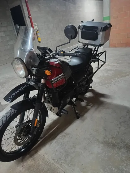 Himalayan