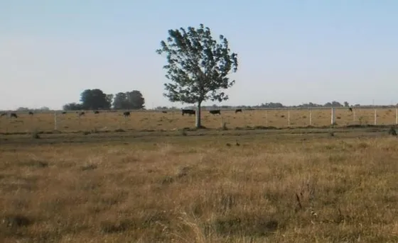 Campo En  Venta En El Rodeo