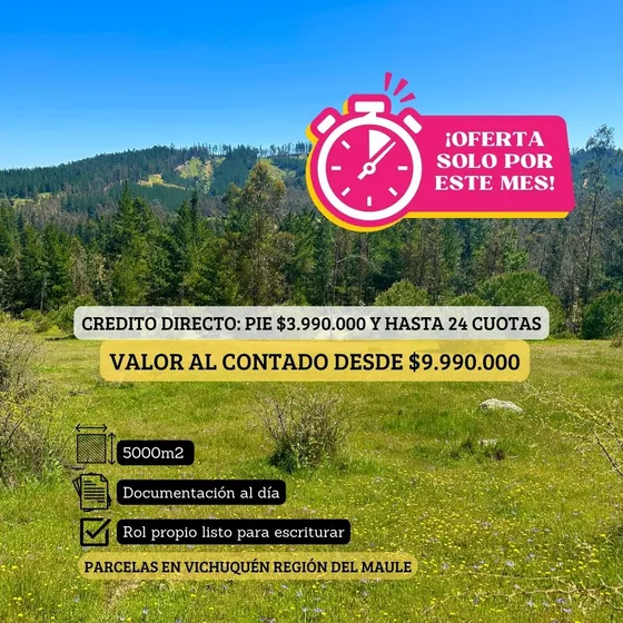 Parcelas A Minutos De Laguna Torca Y Playa Llico