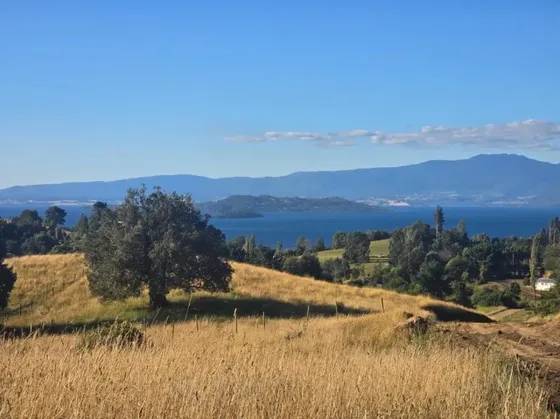 Venta Parcela 10000mts Lago Ranco