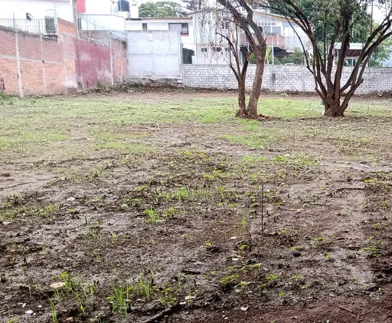 Lote Habitacional En Privada Acceso Controlado Zona Norte 