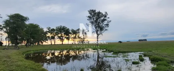 En Venta Campo En Treinta Y Tres, Ubicado A 12 Kilómetros De Vergara