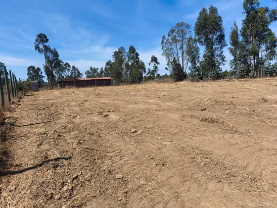 Se Vende Parcela Campo Alegre ,santo Domingo Con Rol