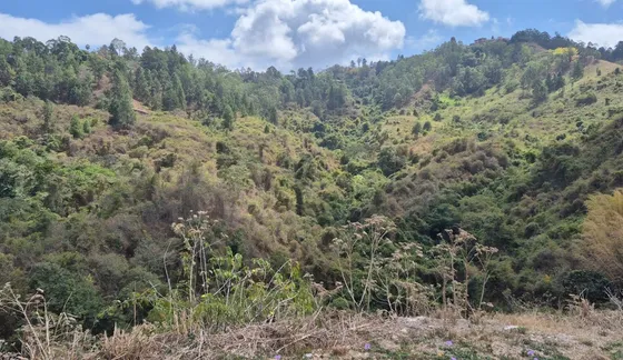 Venta De Terreno En Los Samanes