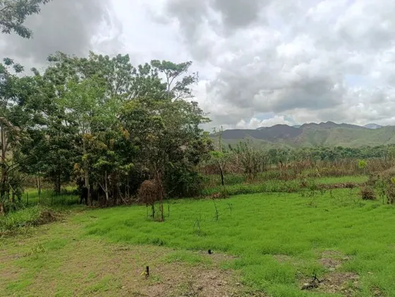 Terreno En El Municipio Piar / Sct Guanaguana Ve02-1673piar-kqui