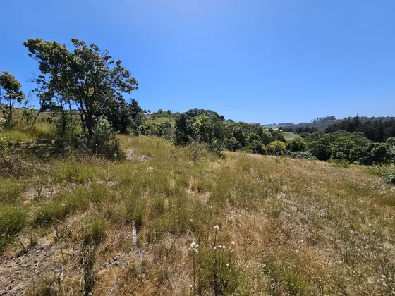 Vendo Terreno En Mantagua De 5.000m2.