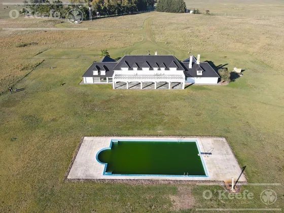 Campo En Venta 1030 Has Sobre Autovia 2. Apto Club De Campo