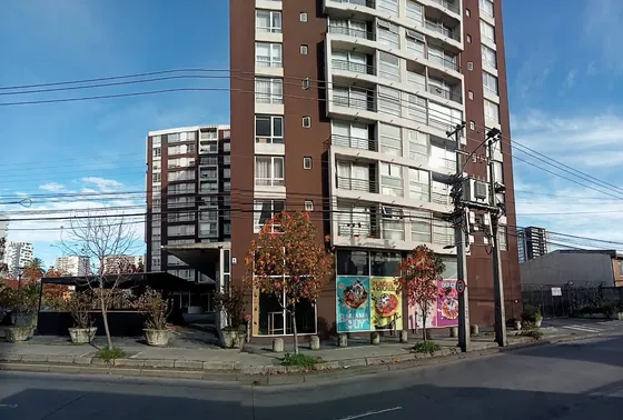 Arriendo Acogedor Departamento Cerca De Udec. Y Udd