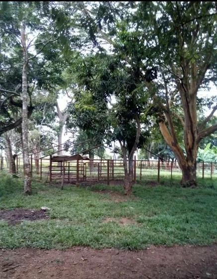 Se Vende Finca En Aribi, Via Al Sur De Monagas  Ve02-525vs-dced 