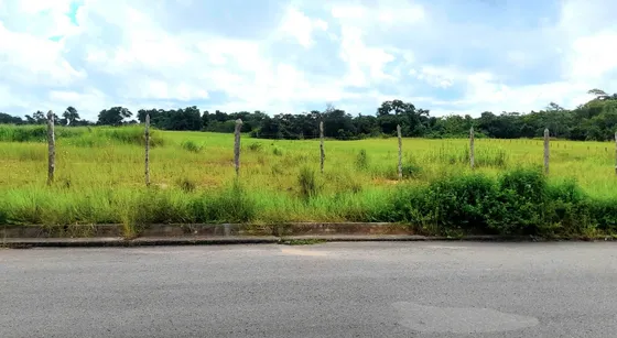 Virginia Vende Terreno  En Tipuro Maturín 33 Hectareas