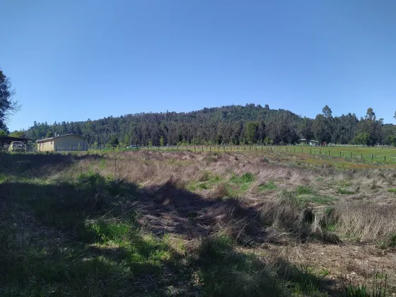 Parcela En Gorbea, Novena Región