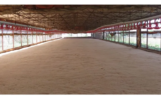 Finca Agropecuaria En Miranda A 10 Km De Bejuma