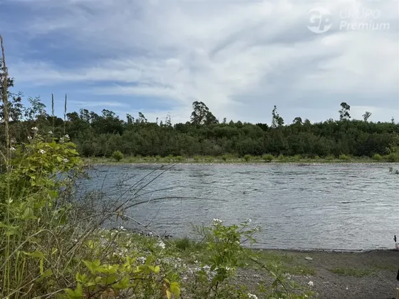 Venta-pesca,navegación Y Natur. Parcela Con 55 M Borde Rio