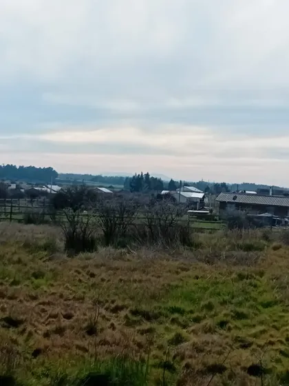 Excelente Terreno De 5.800m2 Plano, Nebuco, Chillán Viejo