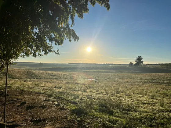 Venta Chacra 8 Hs Ruta 30 Tranqueras Rivera Campo