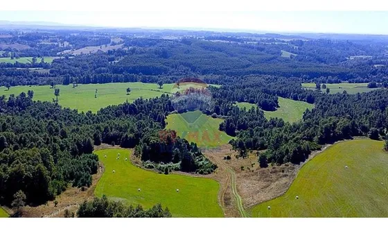  Invierte En Tu Paraíso En Altavista, Frutillar.  