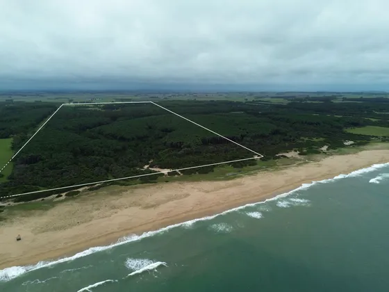 Terreno En Venta Sobre El Mar Para Desarrollo