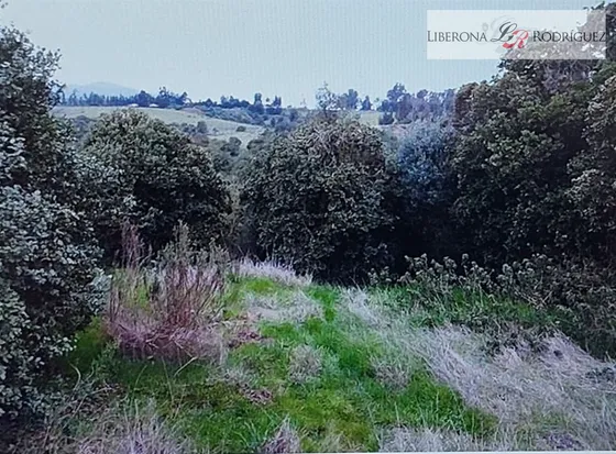 Sitio En Venta En Las Gaviotas, Concón