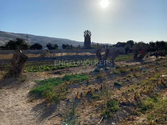 Venta De Terreno Azapa Km 10