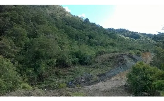 Vendo Finca / Lote De 15 Hectáreas De Bosque En El Carmen De Viboral
