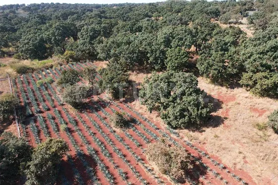 Terreno Rustico En Venta