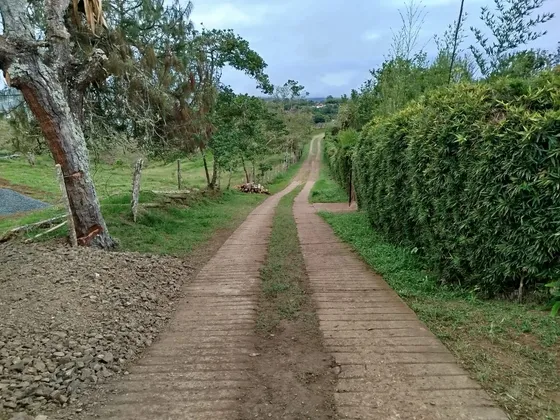 Venta De Lote Km 26 Via Al Carmen