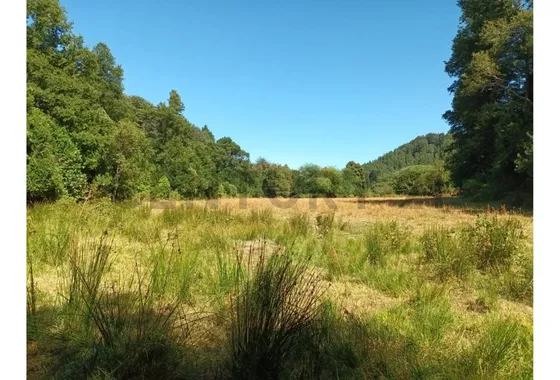 Oportunidad 2 Terrenos De 5000m2 Cercano A Termas Huiscapi