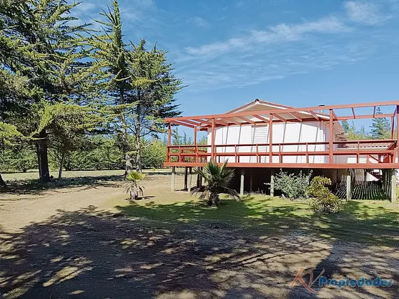Algarrobo / V Región 