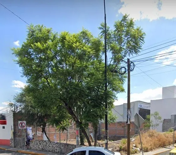 Terreno Comercial En Renta