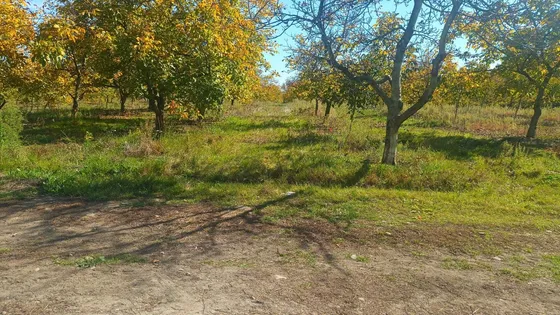Vendo Parcela En Yerbas Buenas De Colbún (93119)