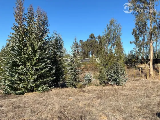 Parcela En Venta En Quintero